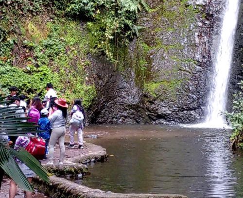 Tulipe Cabin | Complejo puma sacha las 7 cascadas