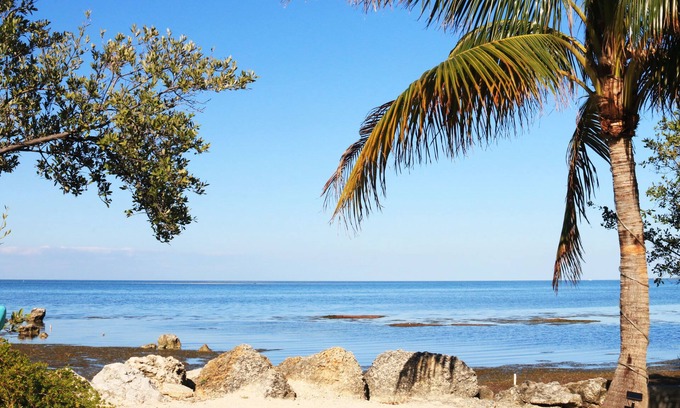 Marathon Hotel | Conch Key Fishing Lodge and Marina