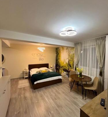 Alba Iulia Apartment | Confort Studio