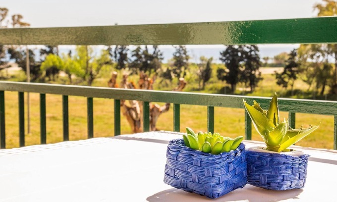 Porticato Apartment | Coral View Studio in Chianchitta-Pallio