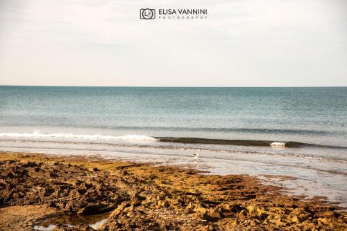 Rosignano Solvay Apartment | Corallo Blu a pochi passi dal mare!