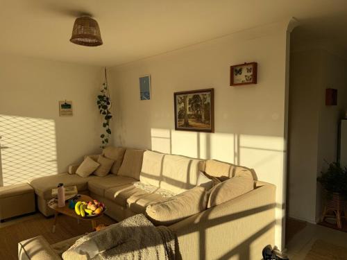 Surfside Villa | Corvidae
