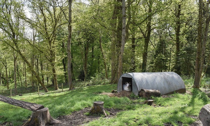 New Forest District Cottage | Cosy Cottage - UK34263