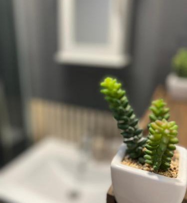 Waddon House | Cosy Home STUDIO