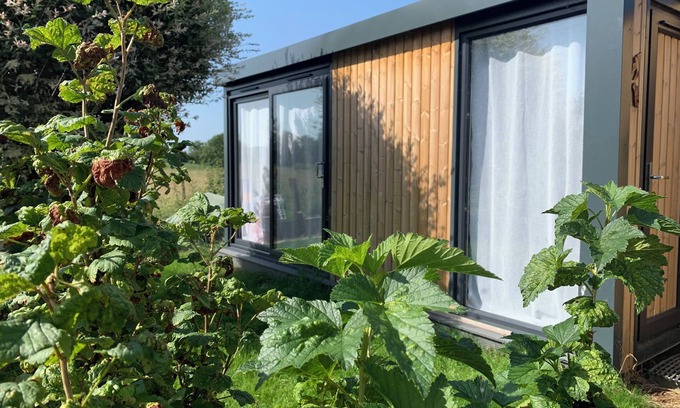 New Forest District Cabin | Cosy Studio with a field view