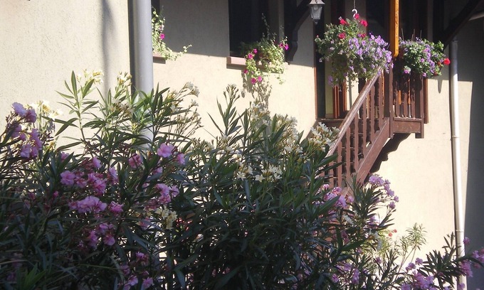 Wolxheim Apartment | Cottage at the winemaker for 6 people