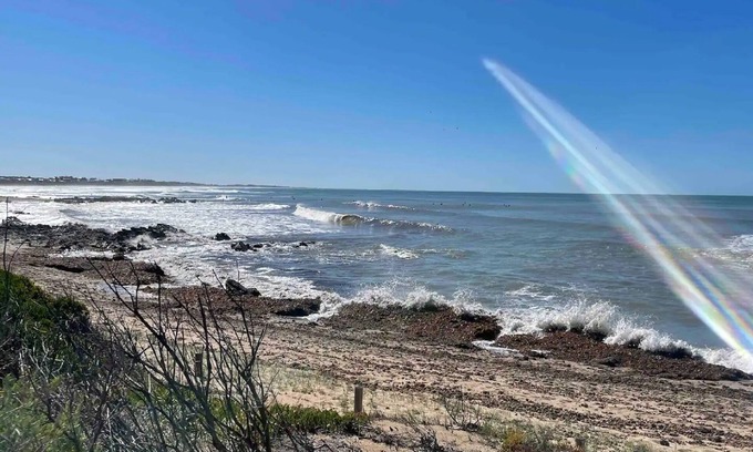 Middleton House | Cottage By The Sea: Surf at your 'doorstep' Pets Welcome!