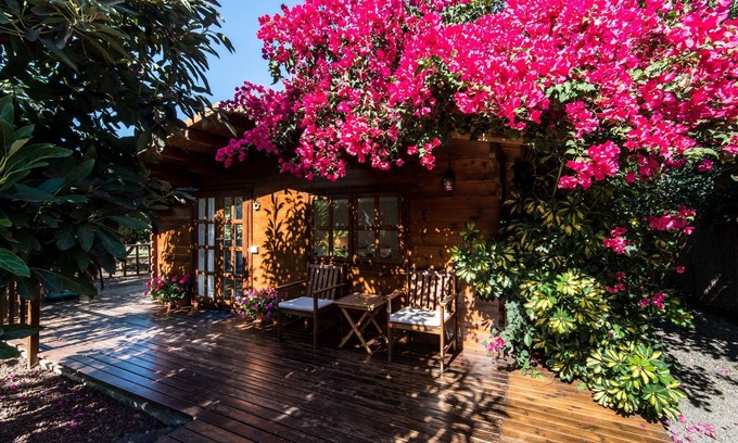 La Orotava Cottage | Cottage In Avocado Plantation Near Bollullo Beach and Puerto Cruz