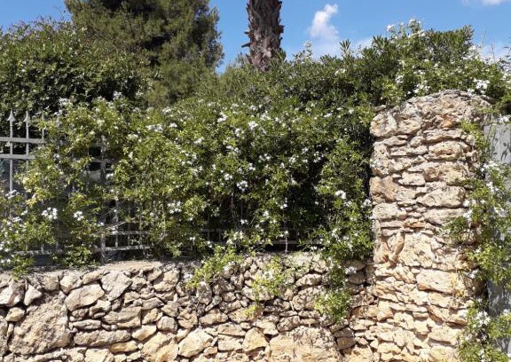 Nardo House | Cottage nel verde