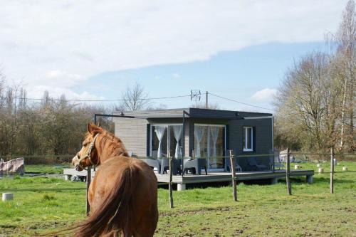 Saint-Fargeau Apartment | Cottage tout confort au milieu des chevaux