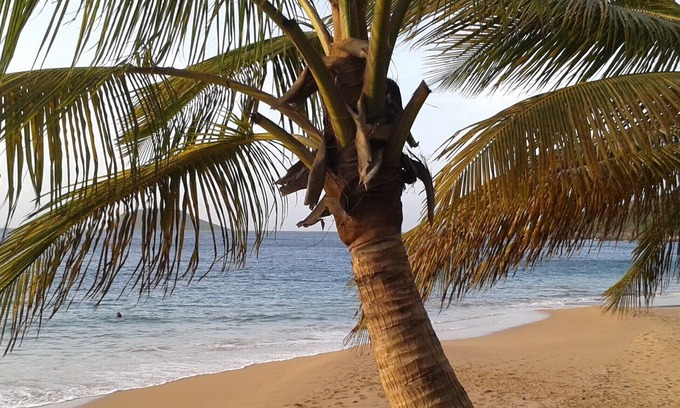 Sainte-Rose Cottage | Cottages in Ste Rose in lush garden