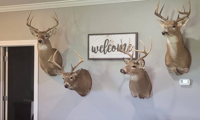 Morganfield House | Country home getaway; great for nature lovers!