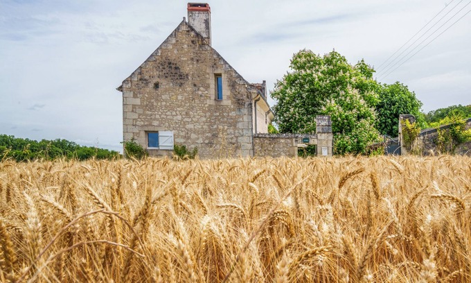 Crouzilles Cottage | Country House in Southern Touraine with Swimming Pool for 8 Peoplen