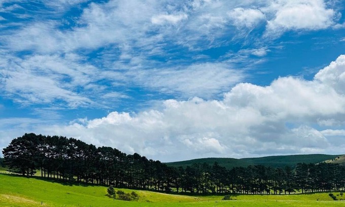 Helensville Apartment | Country Studio Out West