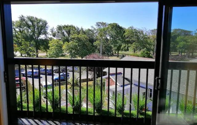 Christchurch City Centre Apartment | Cozy 1BR Apartment with Hagley Park View