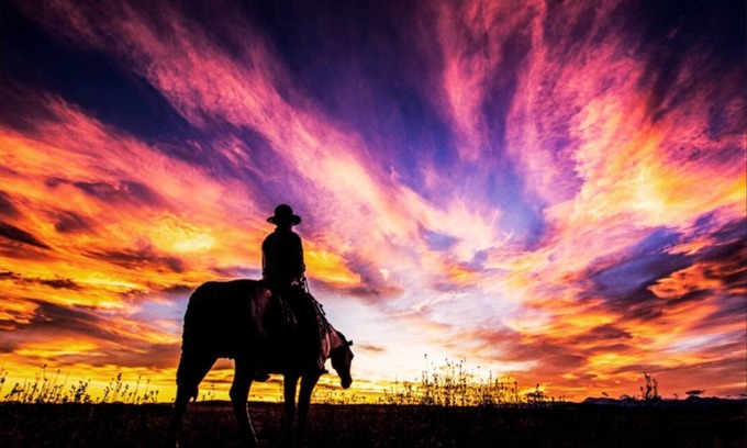 Cochrane House | Cozy 1BRSuite w/KingBed + 2x sofa beds in Cochrane,Alberta