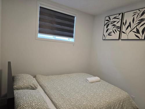 Southeast Calgary Apartment | Cozy 2 Bedroom Apartment