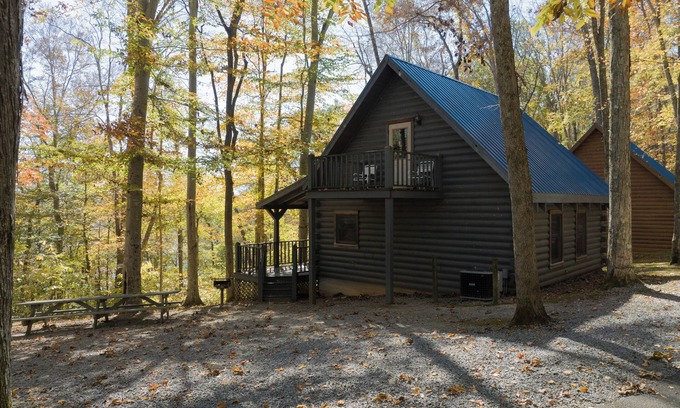 Jamestown Cabin | Cozy 3 Bed Log Cabin at Jamestown Marina, Tucked Away in a Wooded Area #301
