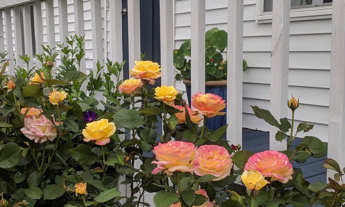 Middletown Apartment | Cozy And Quiet In-Law Apartment