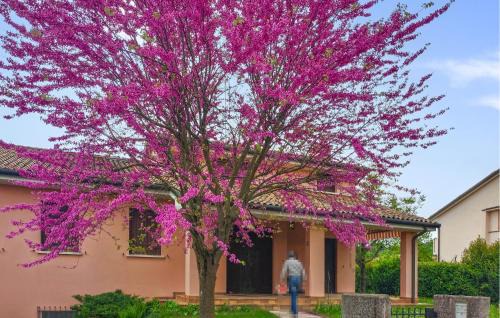 San Pietro di Feletto Apartment | Cozy Apartment In San Pietro Di Feletto