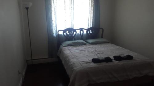 Northeast Edmonton Apartment | Cozy & bright private one-bed rm