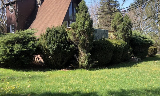 Fairlea Cabin | Cozy cabin in downtown Lewisburg WV close to snowshoe sky resort