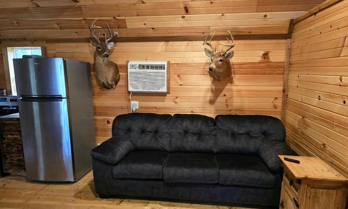 Lebanon Cabin | Cozy cabin in pleasant Lebanon with AC