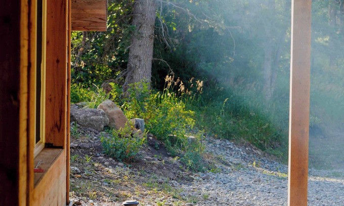 Midway Cabin | Cozy Cabin Retreat with Forest Views