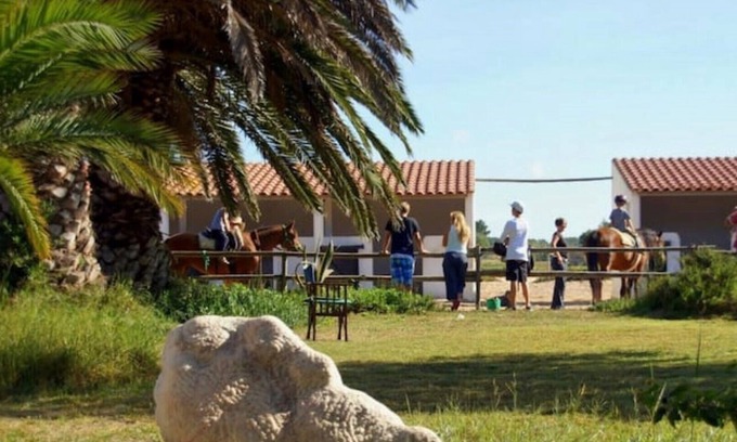 Cavaleiro Cottage | Cozy Cottage in Horse Farm 200m from the Beach