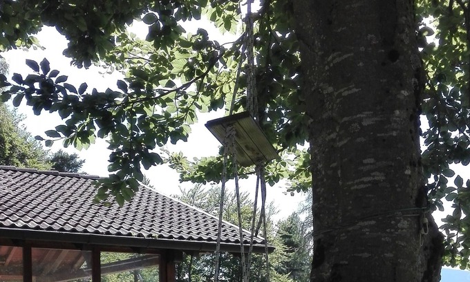 Lasino Apartment | Cozy cottage nestled in the quiet of nature