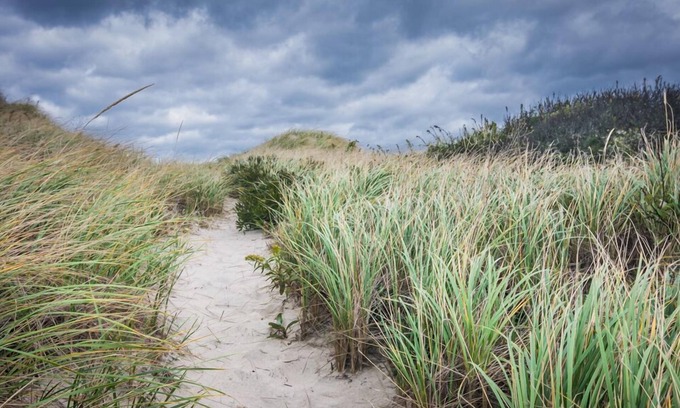 East Sandwich Cottage | Cozy Cottage Retreat Just Steps to Beach