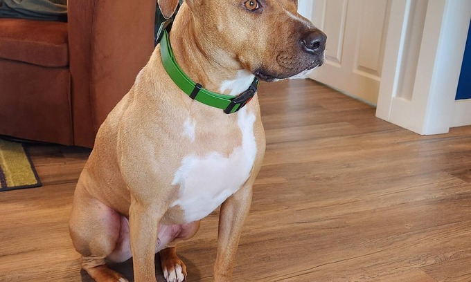 Chance Harbour Cottage | Cozy Cottage right on Chance Harbour