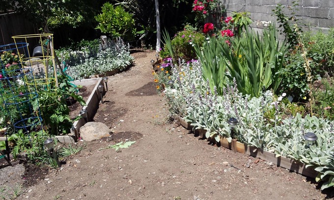 East Richmond Bed & Breakfast | Cozy Cottage