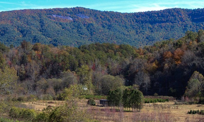 Old Fort House | Cozy Country 3/2 w/shared outdoor fire-pit, playground & water access (Pets OK!)