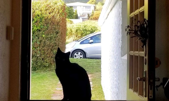 Voelklip House | Cozy double room in the vacation home