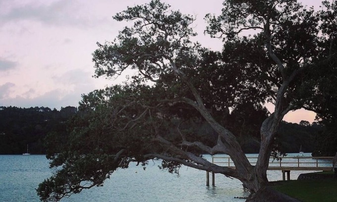 Auckland House | Cozy Family Retreat on Herald Island