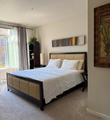 Belltown Apartment | Cozy home nearby most attractions Seattle center