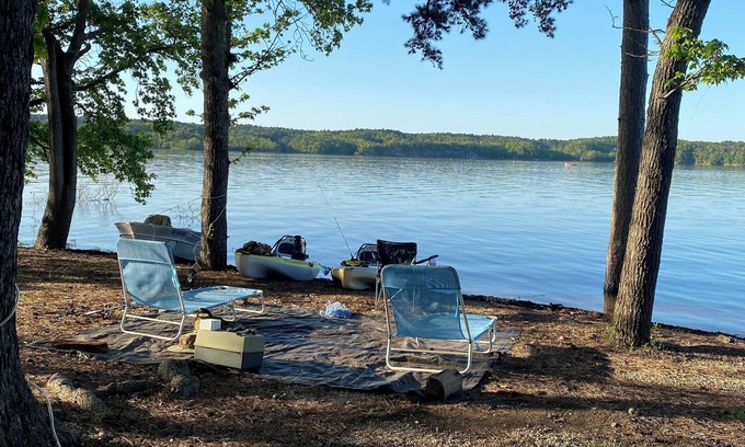 Hot Springs Village House | Cozy home surrounded by wildlife of all kinds trees.,Lakes swimming and golfing