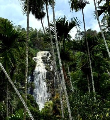 Ella Hotel | Cozy Homestay Waterfall Road Ella