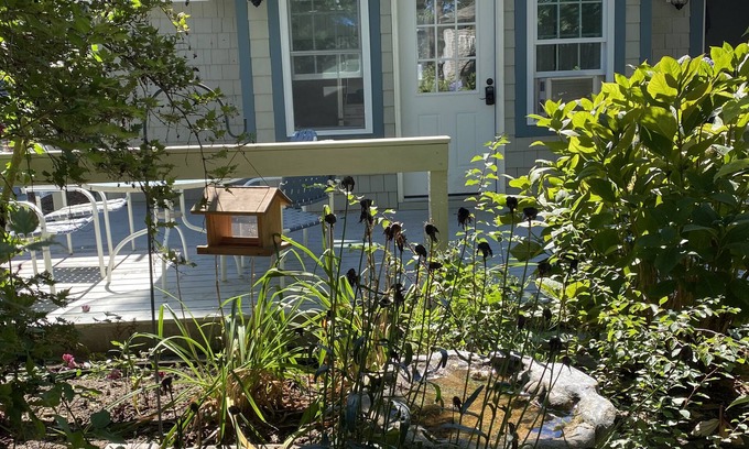 West Chatham Cottage | Cozy one bedroom on White pond (Must bring your own linens)
