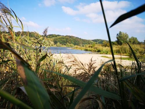 Bleckede House | Cozy Tiny House mit Kamin an der Elbe 403