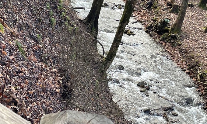 Robbinsville Cabin | Creekside cabin with hot tub