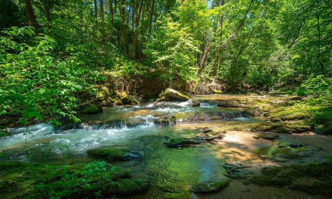 Cleveland House | Creekside Oasis– Pet-Friendly Cottage on Town Creek