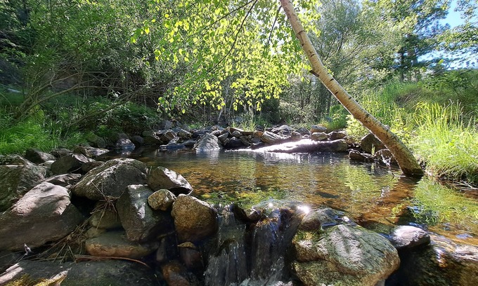 Keystone House | Creekview Suite at Tanager Brook Inn in the Heart of Black Hills by Mt. Rushmore