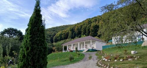 Bran House | Cristelyn Residence