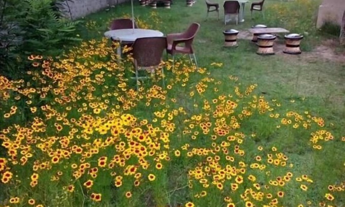 Gilgit Hotel | Cross Roads Hotel