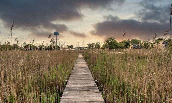 Rock Hall Apartment | Cute waterfront apartment - 8 min from the beach!