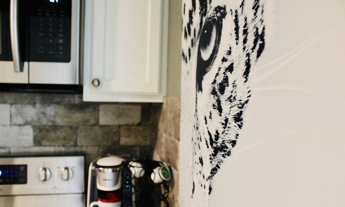 Leon Valley House | CYC Big Cat HideAway