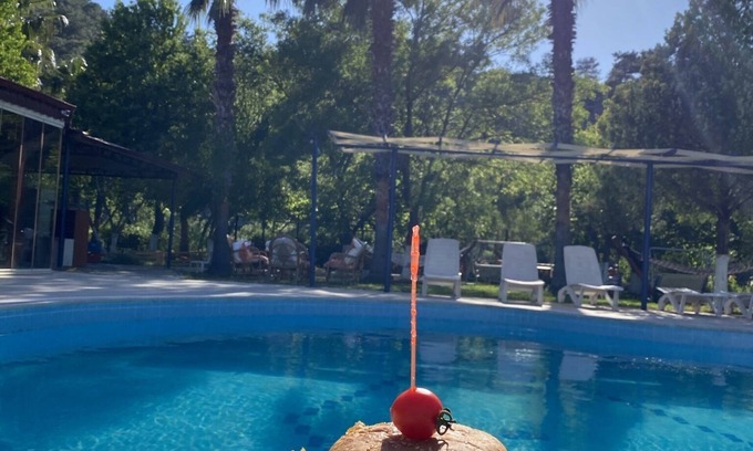 Dalyan Hotel | Dalyan Yunus Hotel