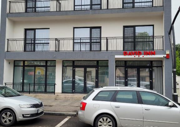 Baile Felix Apartment | David INN